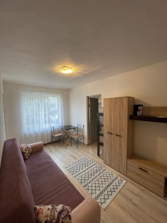 Garsonieră cochetă și primitoare