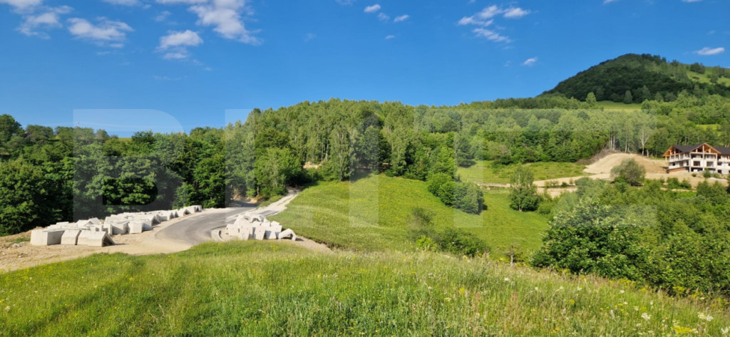 11,5 ha teren extravilan pe Trans Apuseana – cu izvor și