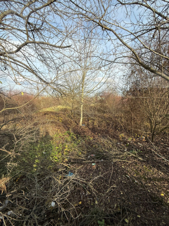 ???? Blitz oferă spre închiriere – Teren 6.500 mp, Calea