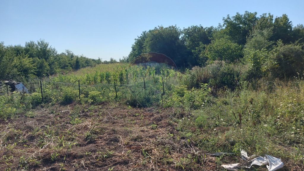 Vanzare teren Saftica strada Calea Bucuresti