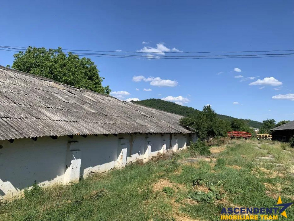 Spatiu comercial Industrial multifunctional: productie, depo