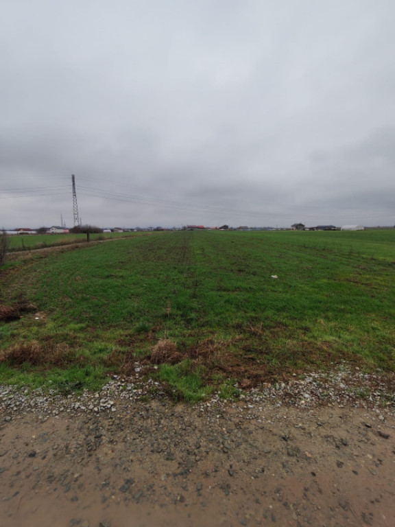 Teren Isanlita INTRAVILAN - 3266 MP - Ideal pentru investiti