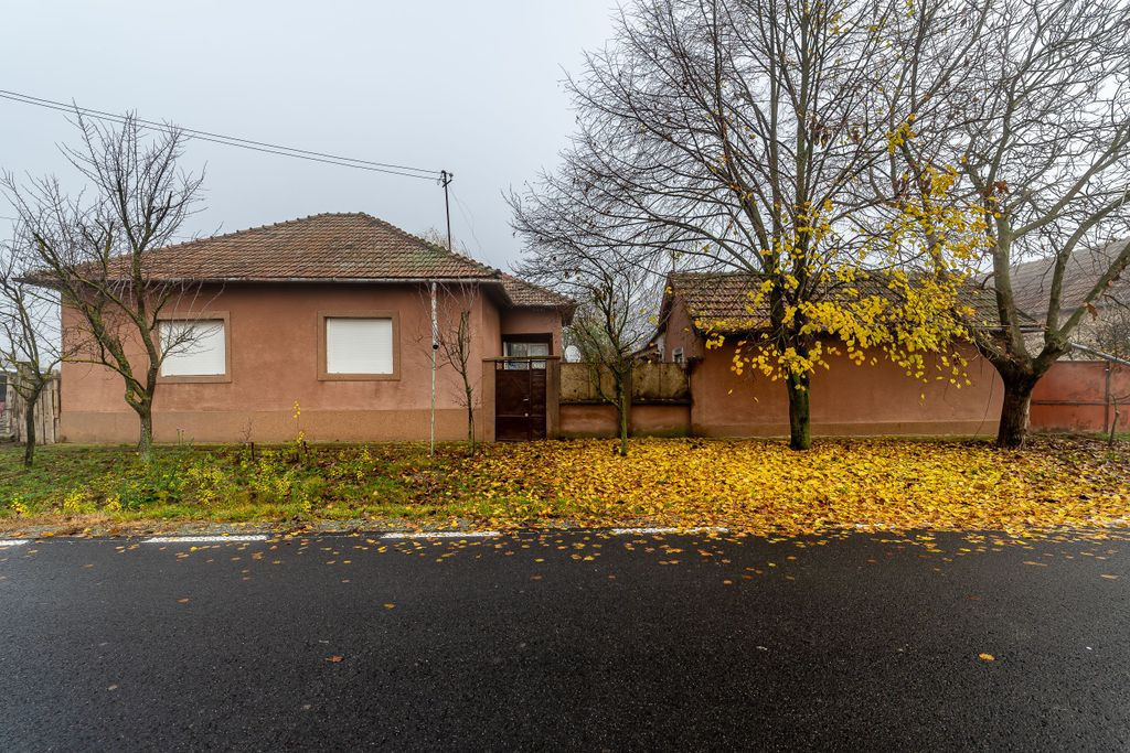 De vânzare Casă cu Grădină Generoasă in Dorobanți