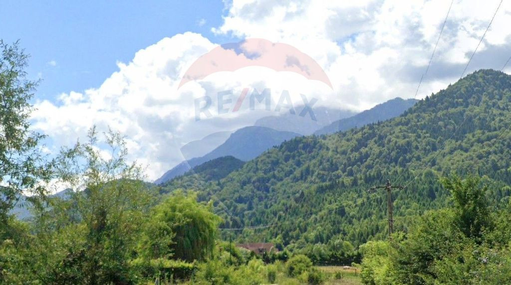 Teren 1600 mp cu proiect & autorizație, Chalet Duplex R?...