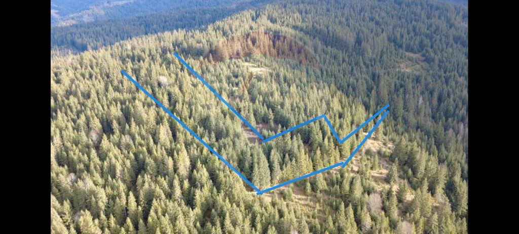 Teren 17,895mp Dorna-Arini / Prelungirea Cozănești