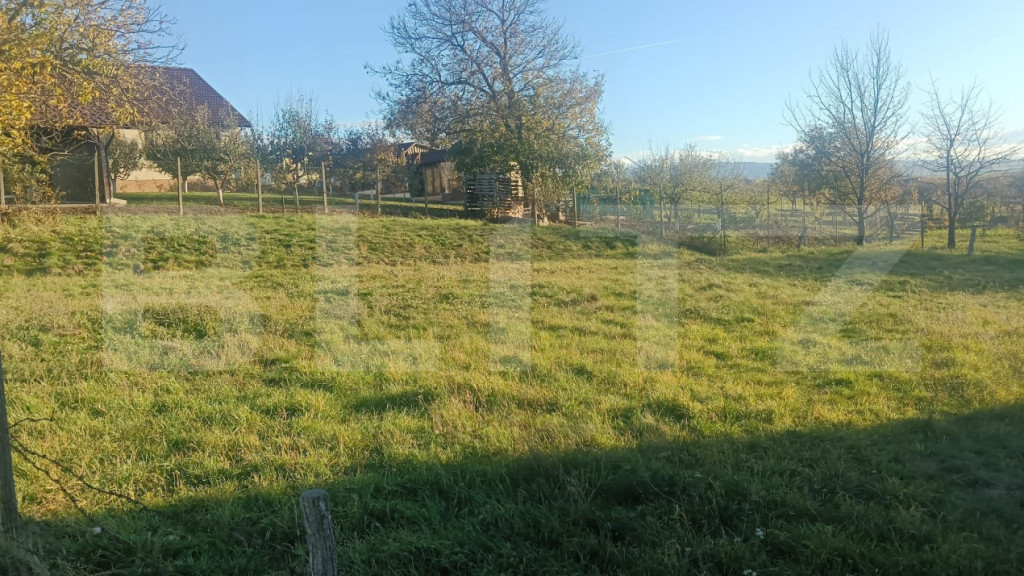 Teren intravilan, 712 mp - Vintu de jos