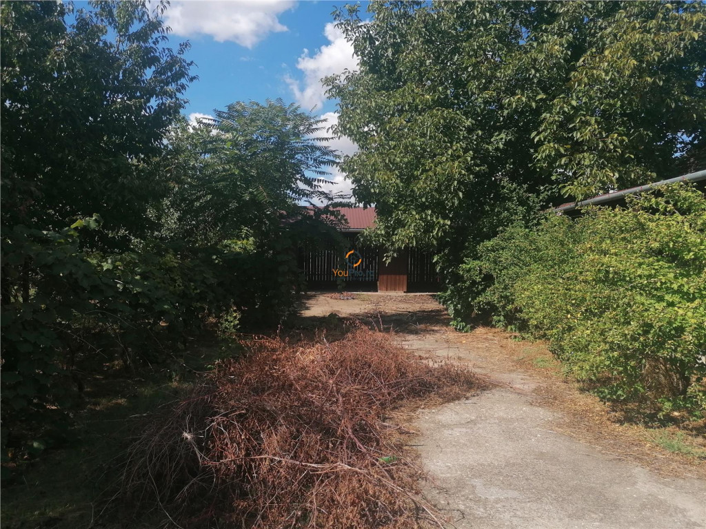 Centru Sinaia Parter Inalt