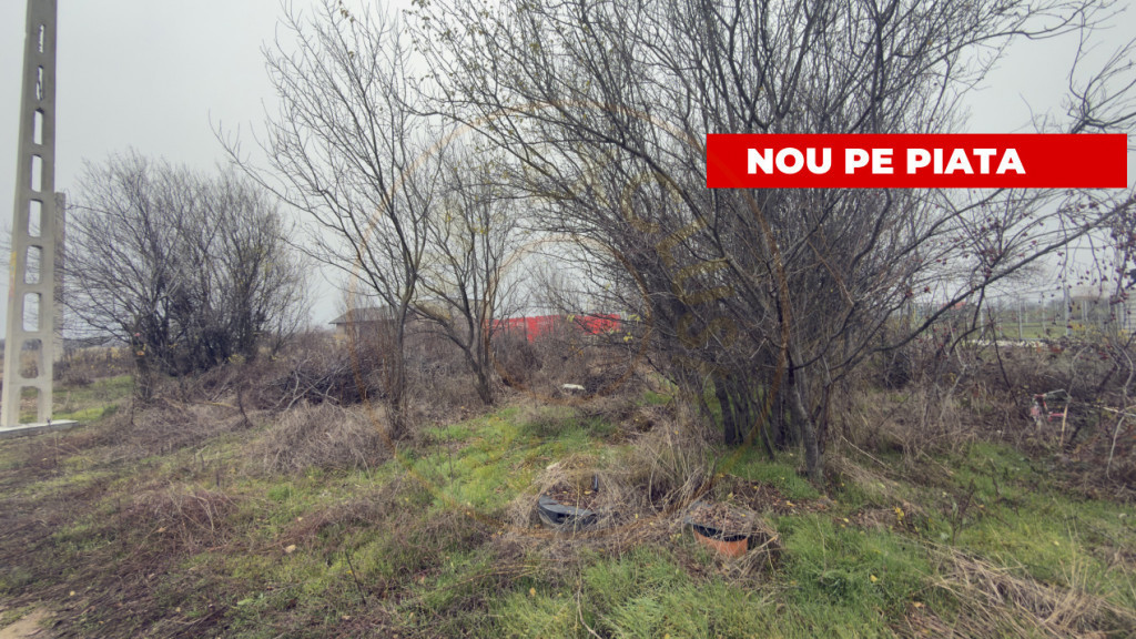 Teren de 533 mp - 10 min de Pitesti-Albota Argeș!