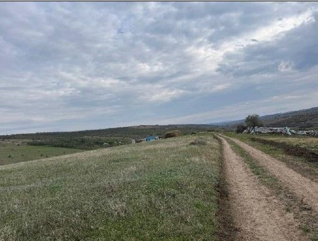 Teren extravilan Perieni, cota parte 6/16 , ID: R2822105