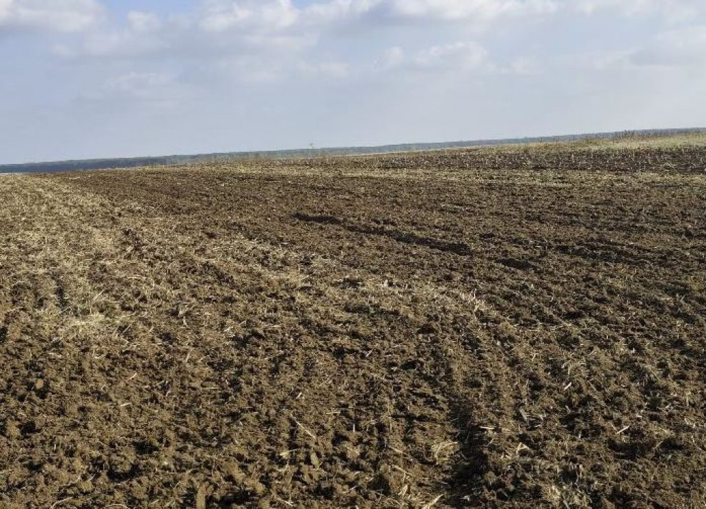 Teren extravilan Varvoru de Jos, jud Dolj