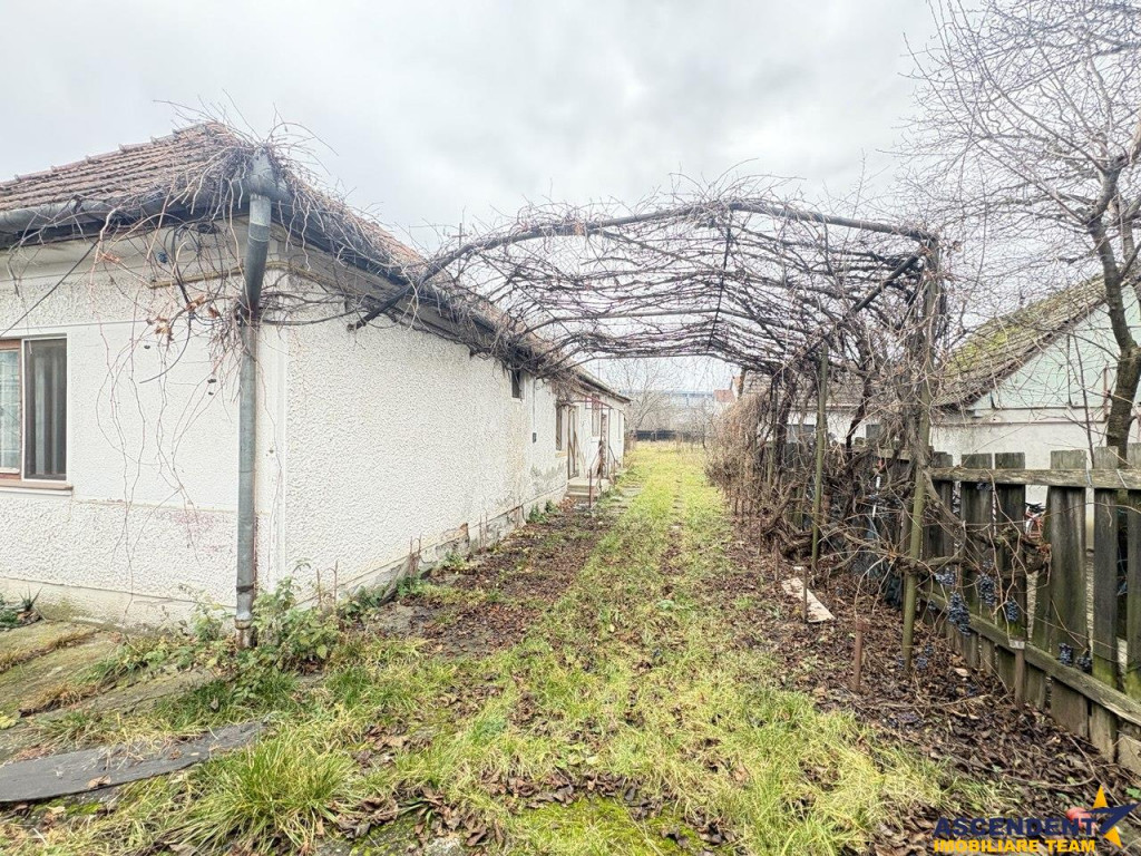 Casa cu 1.924 mp teren, de inchiriat, Sfantu Gheorghe