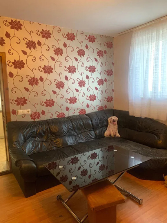 Apartament cu 2 camere pet friendly, 45 mp, situat la casa i