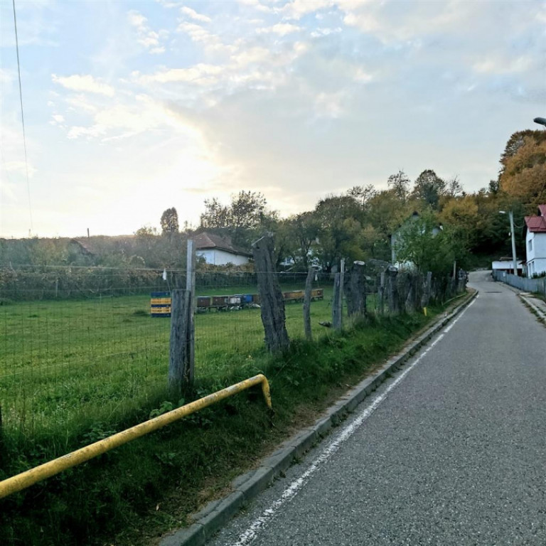 Teren intravilan construibil de vânzare – Curtea de Arge?