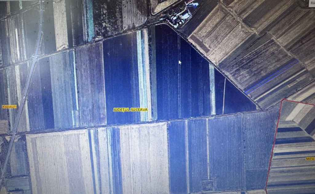 Teren extravilan , 5000mp, Radauti