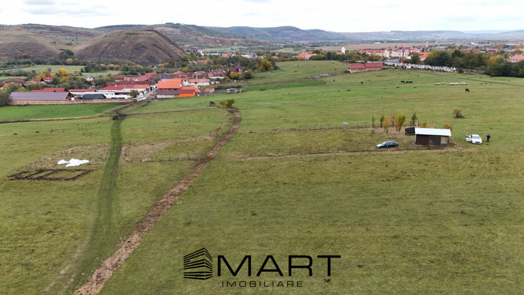 Teren extravilan 2200 mp in Orlat