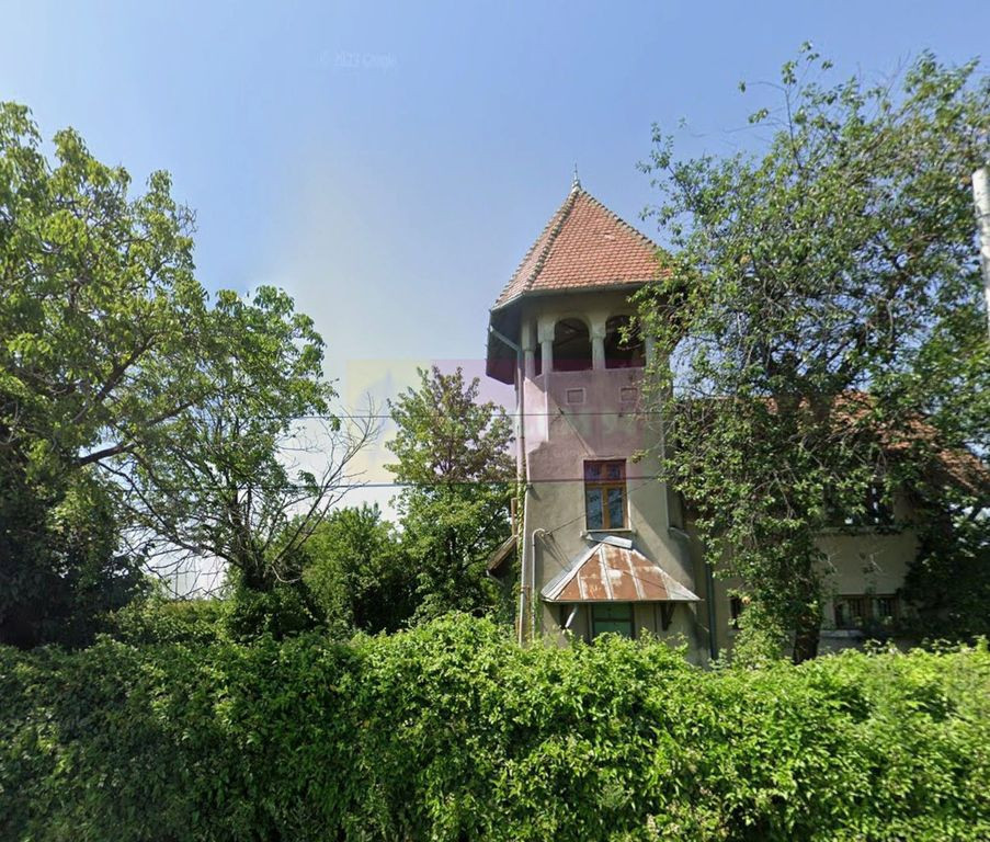 Casa de vanzare (vad comercial)