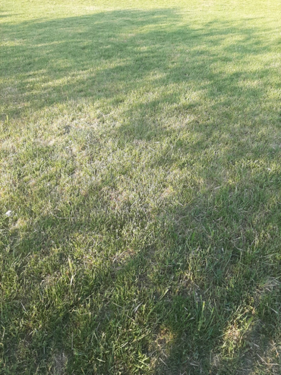 Teren agricol extravilan 1 ha