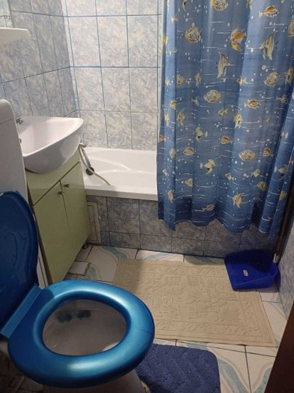 Berceni aparatorii patriei turnu magurele