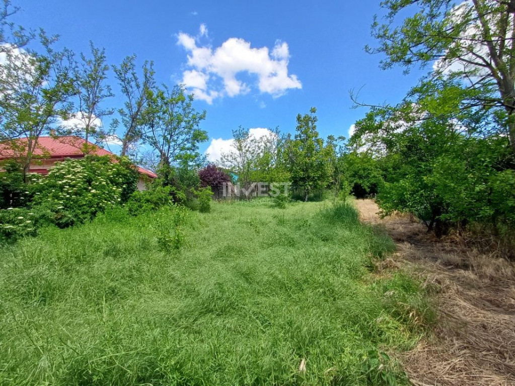 Oportunitate Bucium:- Construire locuinte colective S+D+P+2+3R