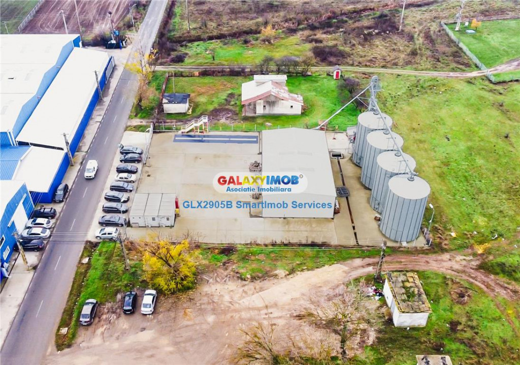 Refugiu la marginea padurii — 2822 mp de liniste in Cocani