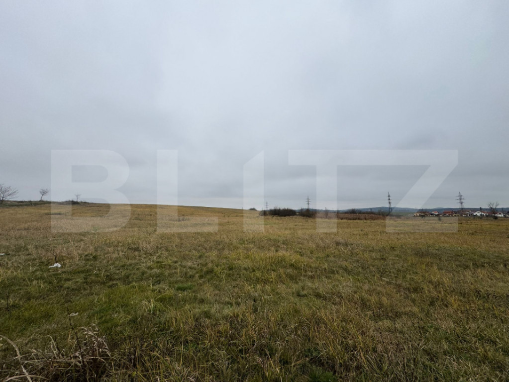 Teren intravilan 7665mp in Pricaz