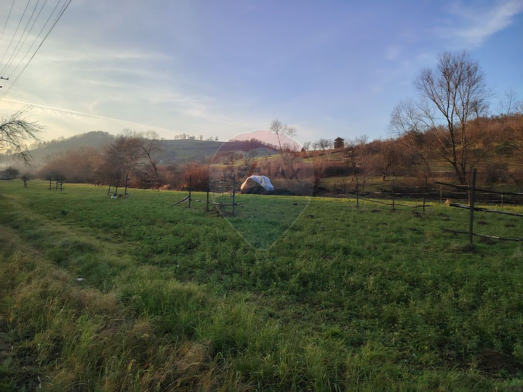 COMISION 0% Teren intravilan de vanzare in Barsana (26 ARI)