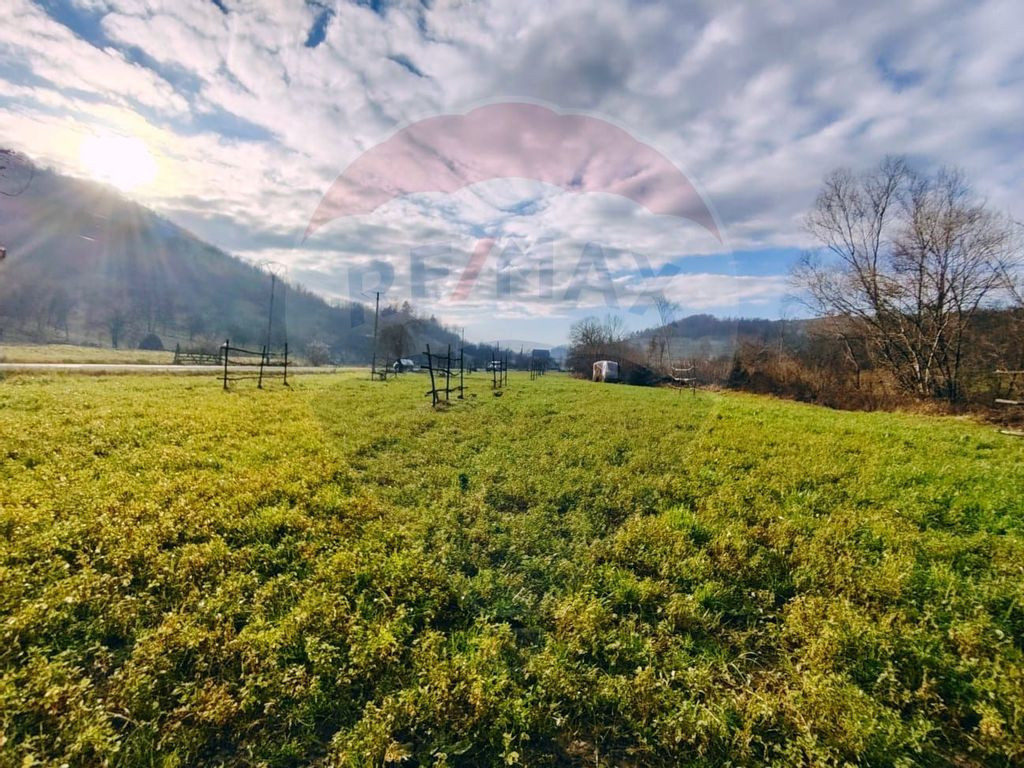 Teren 4,000mp Cicarlau / Strada Principala intravilan