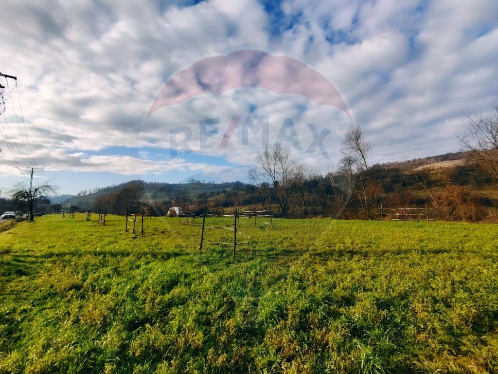 COMISION 0% Teren intravilan de vanzare in Barsana (26 ARI)