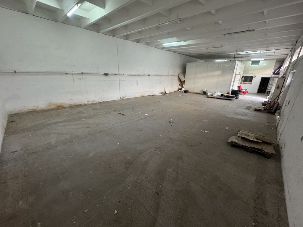 Hale pentru depozitare zona Halta Traian - Interioara 3