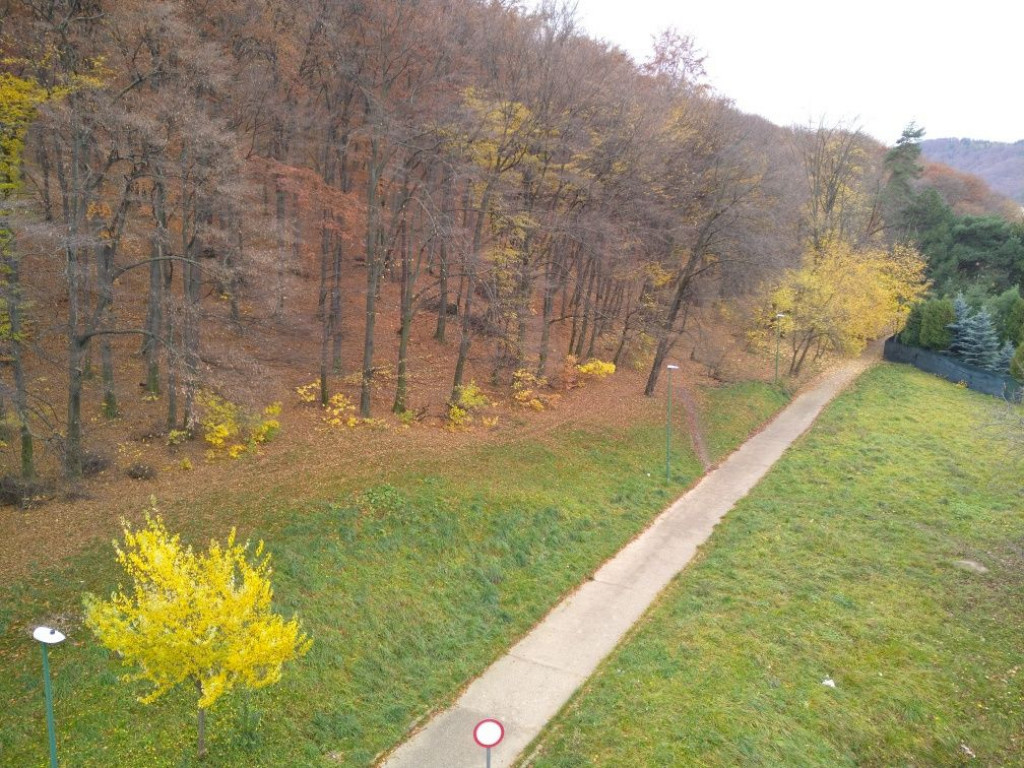 Apartament 3 camere Racadau