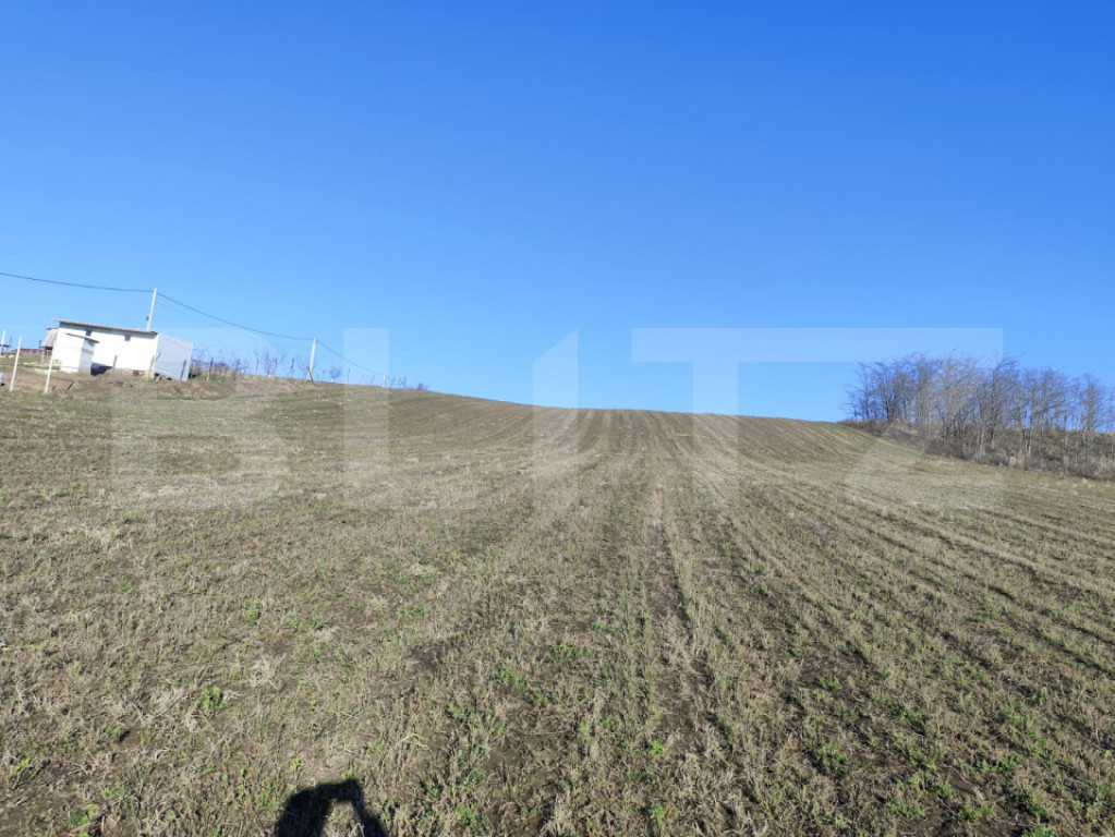 Teren 5000 mp Rediu, oportunitate investitie