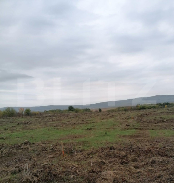 Teren 4500 mp intravilan, TOMESTI-GORUNI