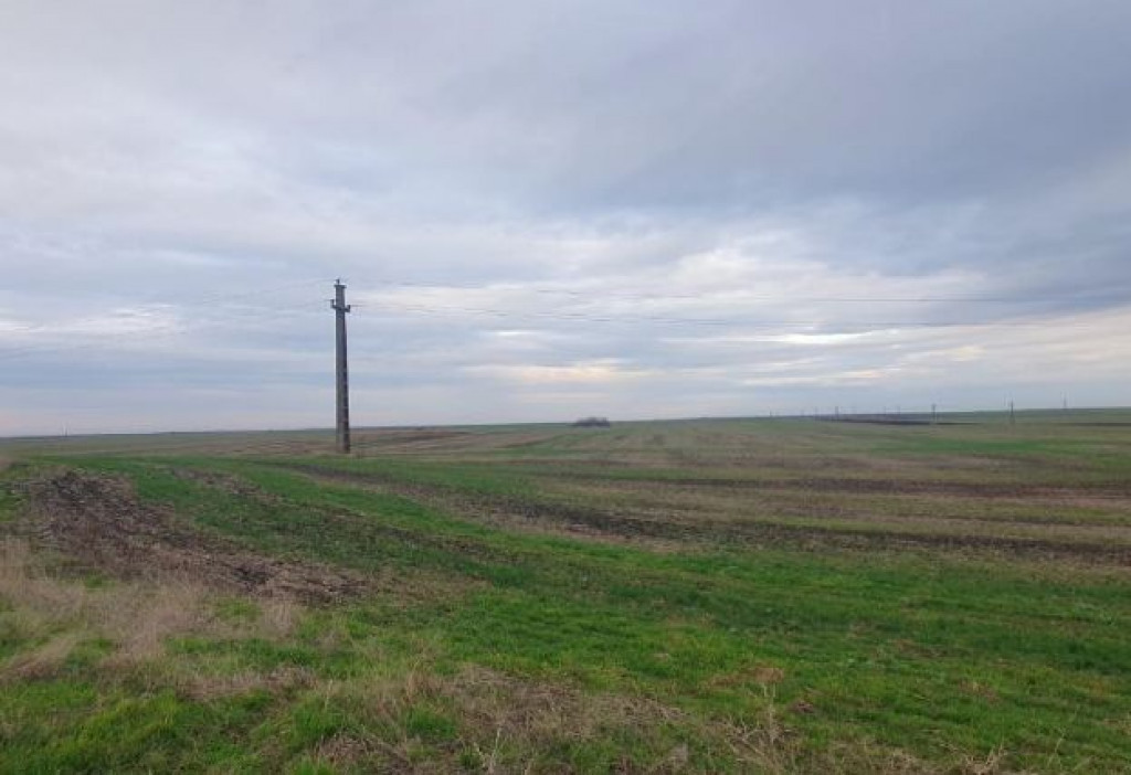 -teren extravilan, com. Satchinez, jud. Timis