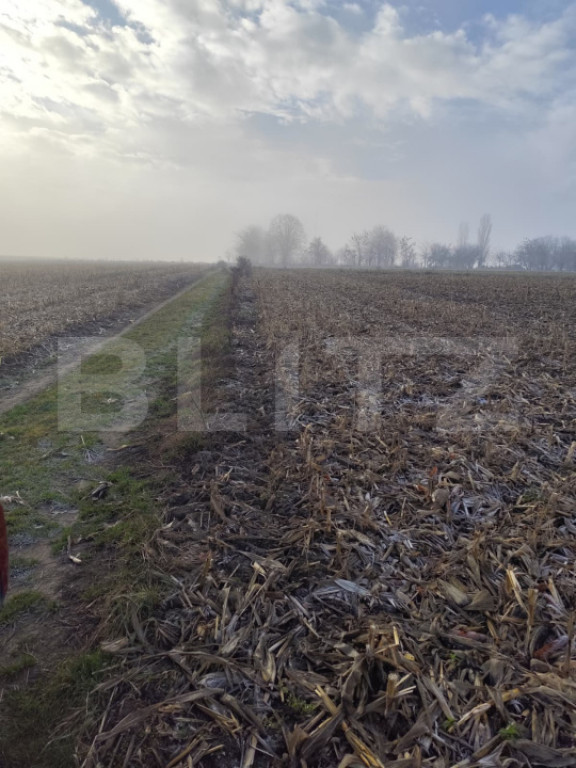 Teren 7200 mp extravilan, Miroslava-Vorovesti, langa zona d