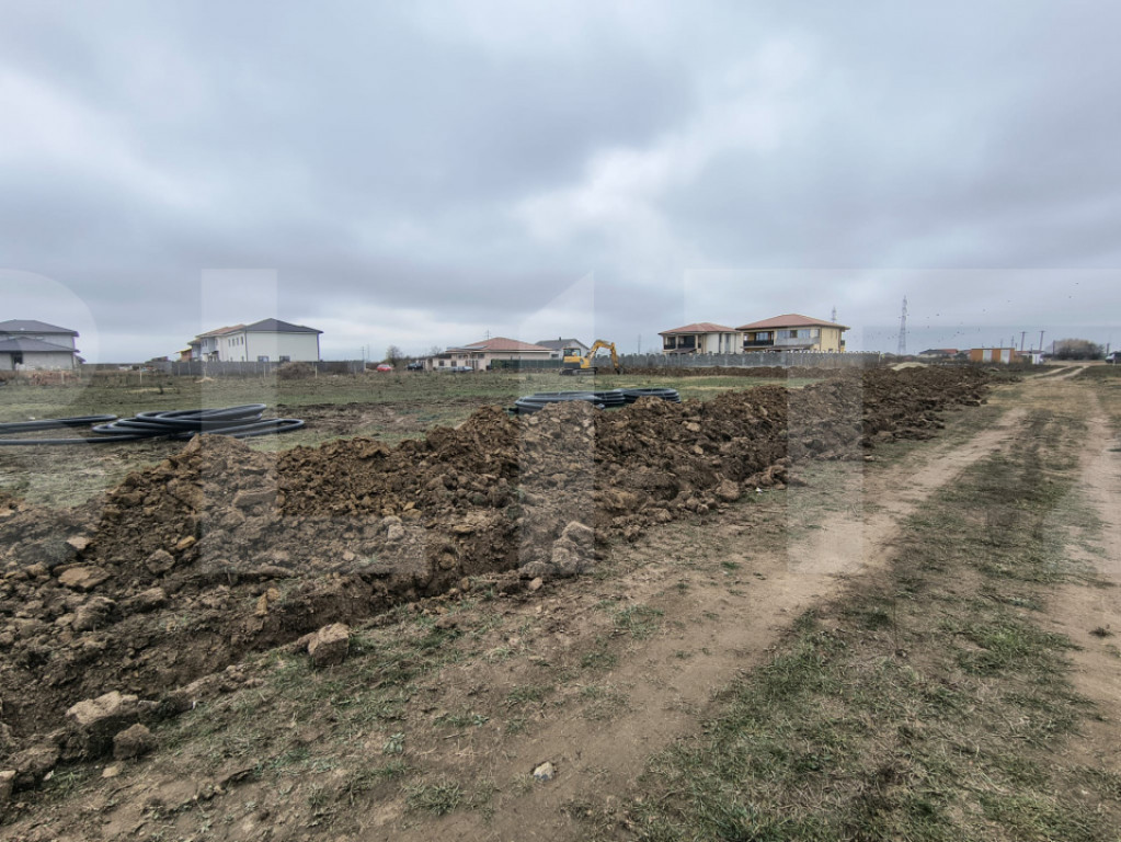 Teren de vanzare Mosnita Noua