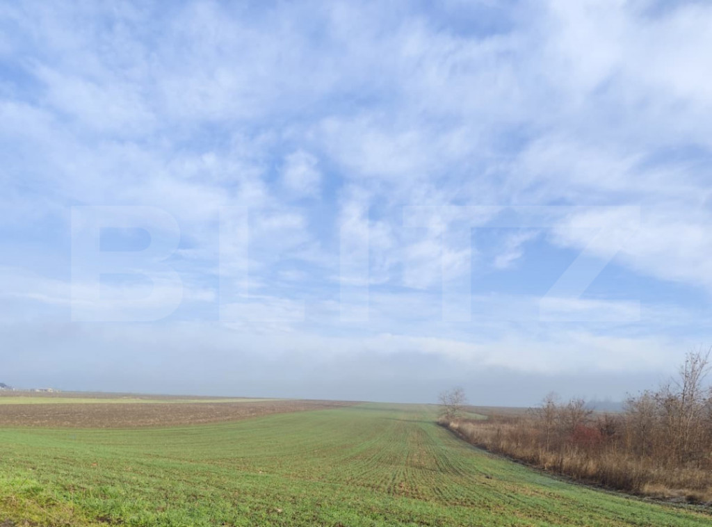 Teren 15000 mp extravilan, Miroslava-Vorovesti, langa zona d