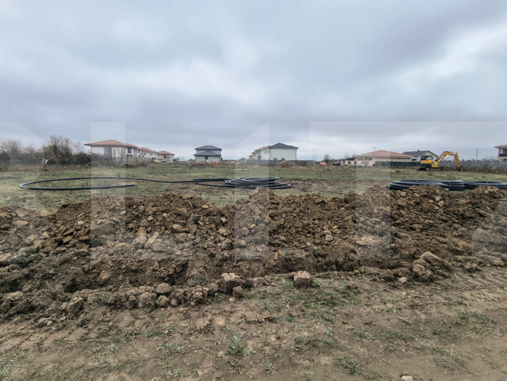 Teren de vanzare Mosnita Noua