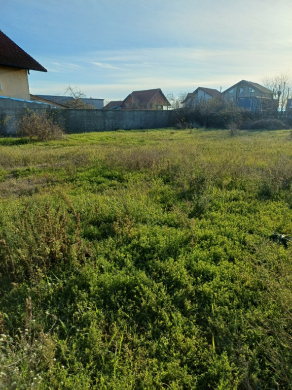 Casă de vacanță la 200m de Dunăre