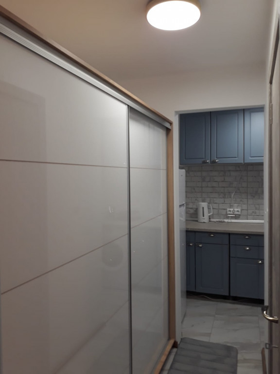 Romana victoriei stirbei voda