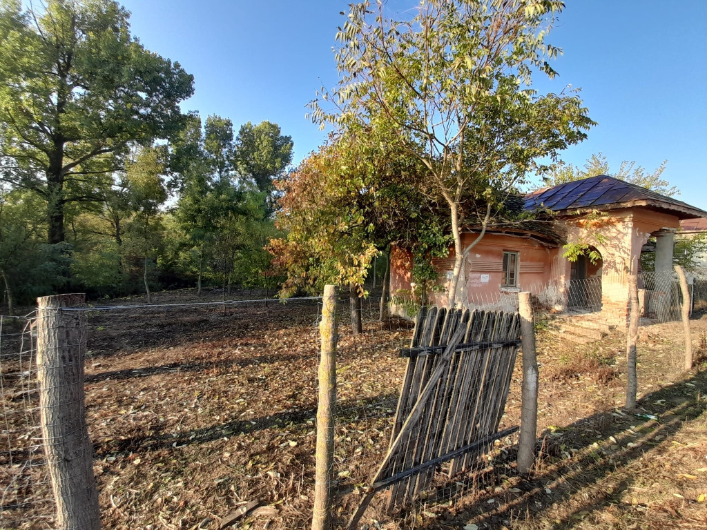 Teren 2900 m², com. Salcuta, Jud. Dolj