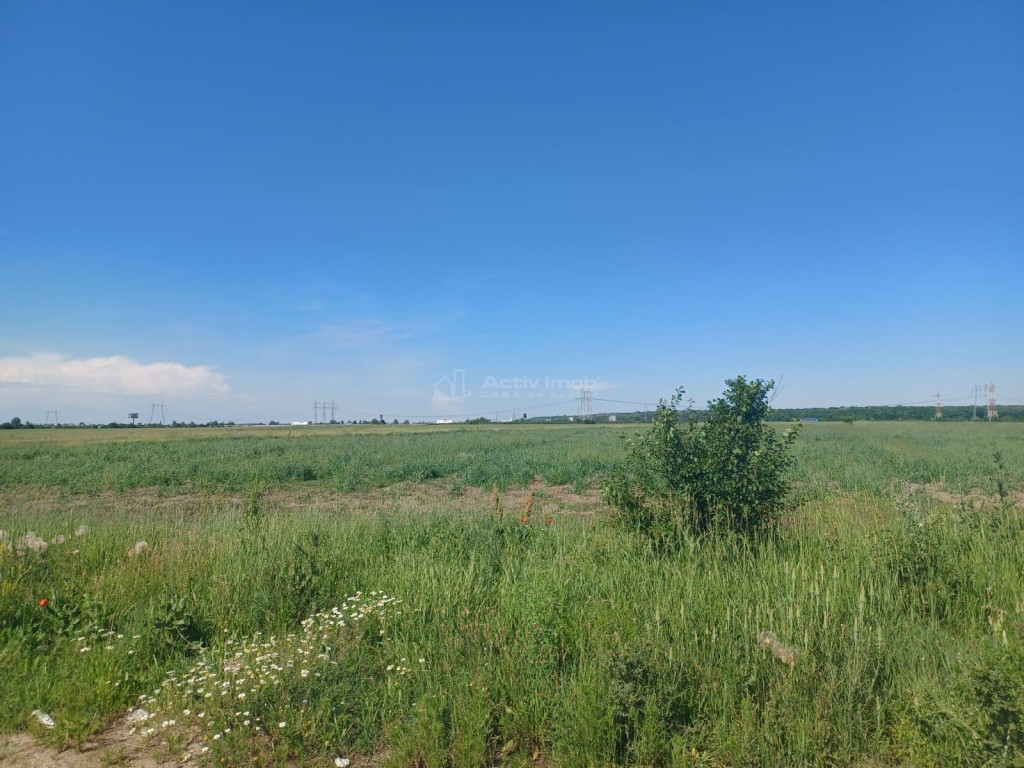 Teren strada Viitorului- Ciorogarla