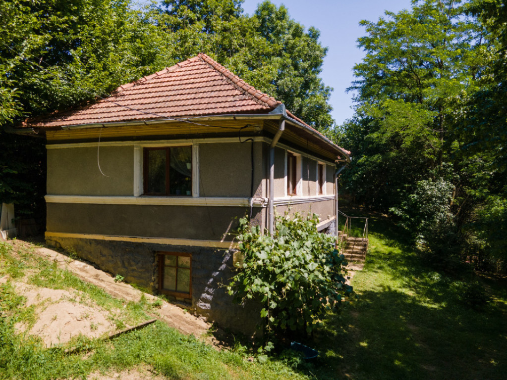 Proprietate cu potențial turistic, în zona Negreni – Buc