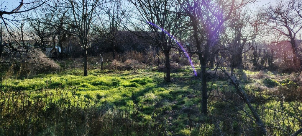 Teren investitii, Vernesti, Buzau, 2000mp