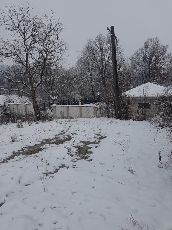 Tautii Magheraus, zona Apa Sarata, 36 ari