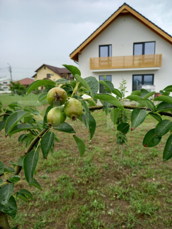 Casa individuala, 155 mp utili, 692 mp teren, Cornesti-Mihai