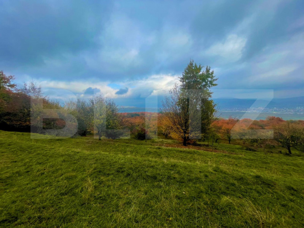 Teren de vânzare – Subcetate, zona Livadă