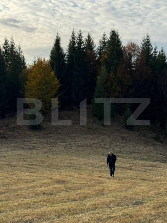 Bijuterie Turistică în Pasul Tihuța: Pensiune de Vânzar