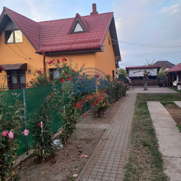 Casa in localitatea Zanoaga- Dolj