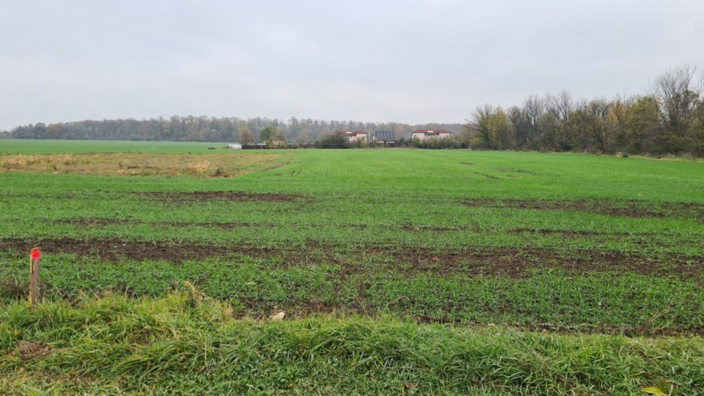 Branesti - Lac, Vila de familie P+E+M, 250 mp utili, tere...