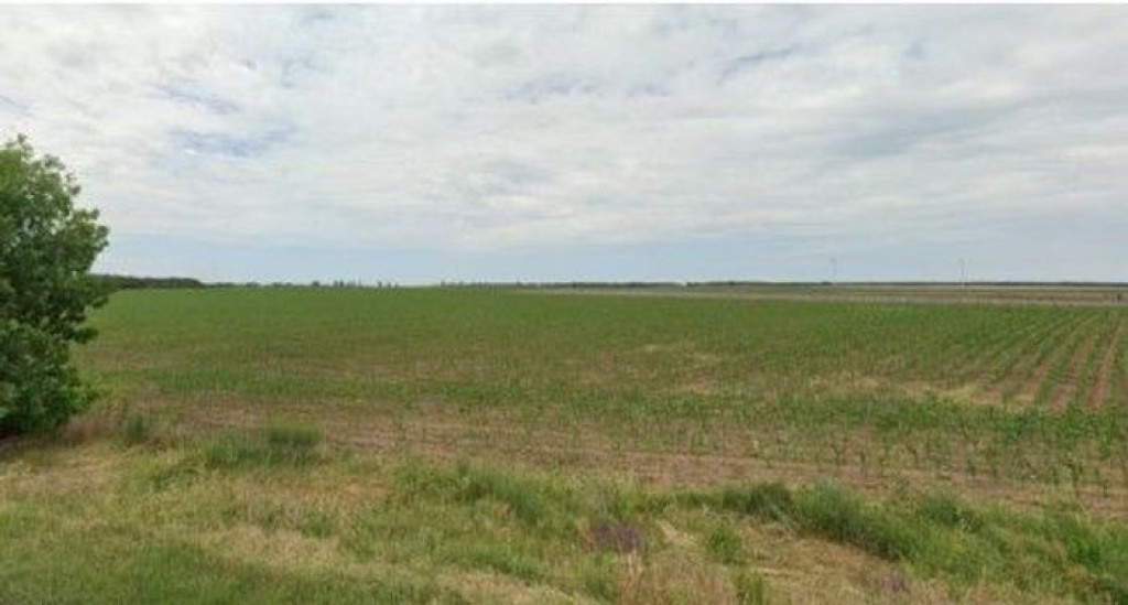 Teren extravilan Pogoanele, ID: R2586845